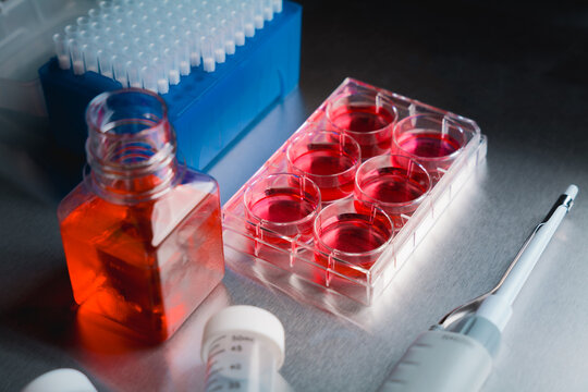 Cell culture media in laboratory for pipet.