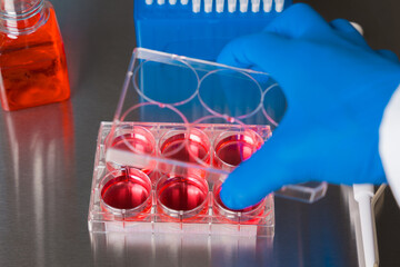 Cell culture media in laboratory for pipet.