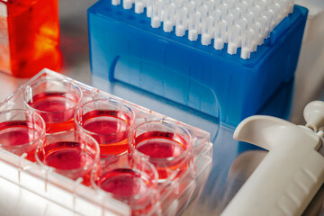 Cell culture media in laboratory for pipet.