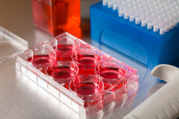 Cell culture media in laboratory for pipet.