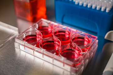 Cell culture media in laboratory for pipet.