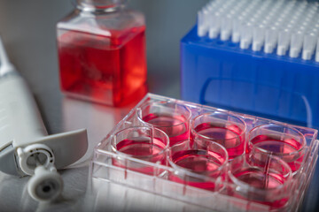 Cell culture media in laboratory for pipet.