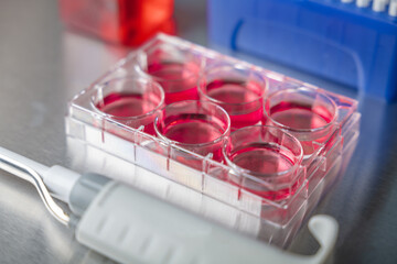 Cell culture media in laboratory for pipet.