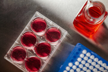 Cell culture media in laboratory for pipet.