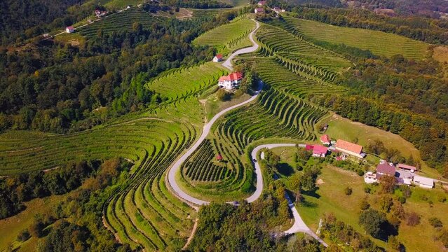 Stunning aerial 4K drone footage of Haloze, Slovenia. It is a picturesque region in northeastern Slovenia known for its rolling hills, lush vineyards, and rich cultural heritage. Filmed in the summer.