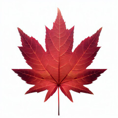 a red maple leaf with a white background and a white background Generative AI