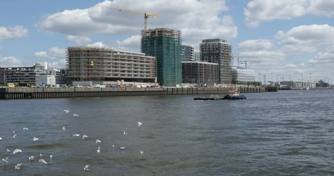 Construction site, HafenCity, Seagulls, Tugboats, Port, Hamburg, Germany, Europe