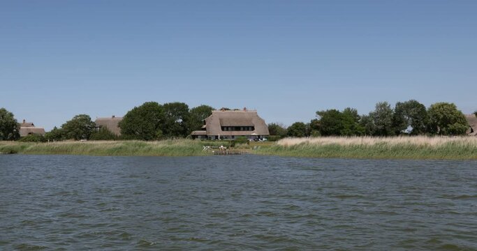 Thatched roof houses on the shore, Wustrow, Saaler Bodden, Fischland, Darss, Mecklenburg-Western Pomerania, Germany, Europe