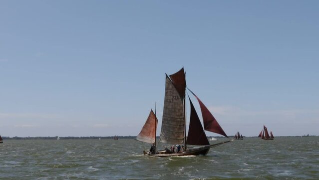 Zeesbootregatta, Wustrow, Saaler Bodden, Fischland, Darss, Mecklenburg-Vorpommern, Germany, Europe