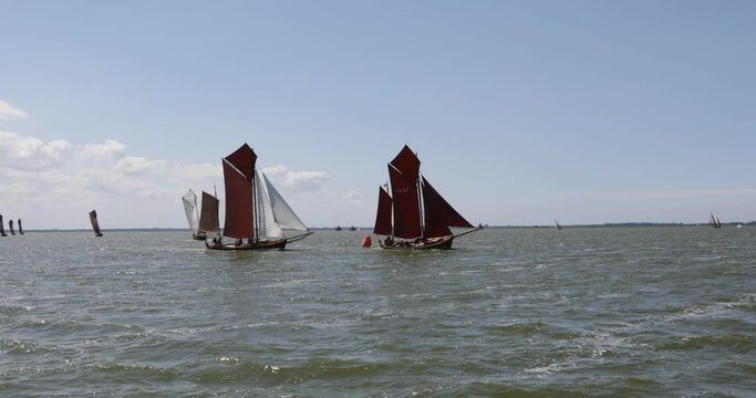 Zeesbootregatta, Wustrow, Saaler Bodden, Fischland, Darss, Mecklenburg-Vorpommern, Germany, Europe