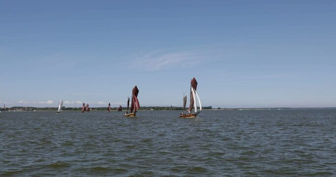 Zeesbootregatta, Wustrow, Saaler Bodden, Fischland, Darss, Mecklenburg-Vorpommern, Germany, Europe
