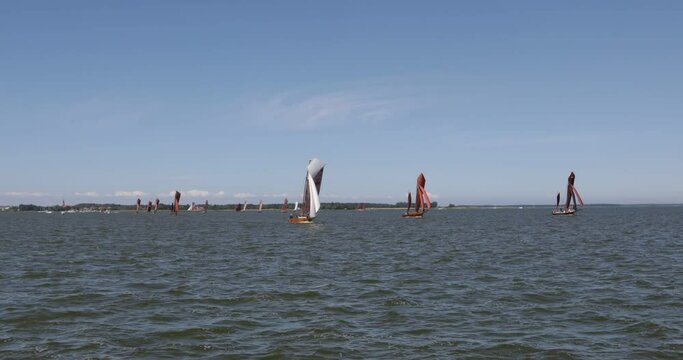 Zeesbootregatta, Wustrow, Saaler Bodden, Fischland, Darss, Mecklenburg-Vorpommern, Germany, Europe