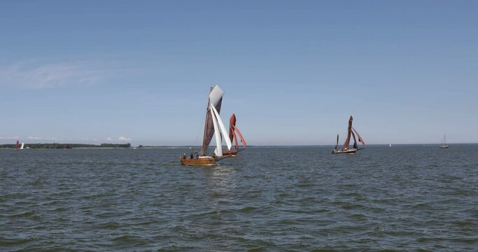 Zeesbootregatta, Wustrow, Saaler Bodden, Fischland, Darss, Mecklenburg-Vorpommern, Germany, Europe