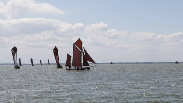 Zeesbootregatta, Wustrow, Saaler Bodden, Fischland, Darss, Mecklenburg-Vorpommern, Germany, Europe