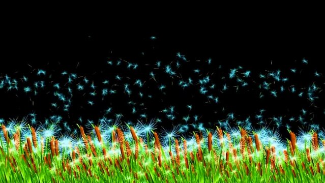 Swaying Green  In The Wind Animation