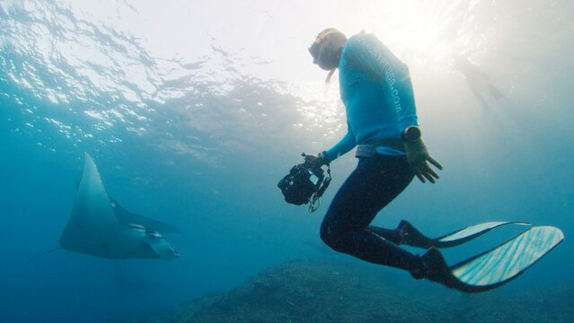 Underwater photographer takes pictures of manta ray. Freediver with camera films Giant ocean Manta Ray swimming over reef. Nusa Penida, Bali, Indonesia