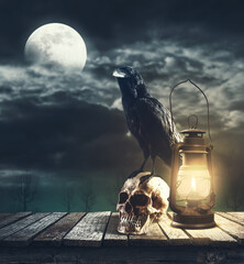 Crow standing on a wooden skull