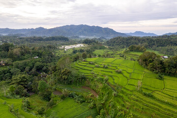 Fototapeta na wymiar Aerial sunrise view of green rice fields close to Sidemen in Bali, Indonesia 