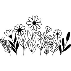 Wildflower Outline Illustration