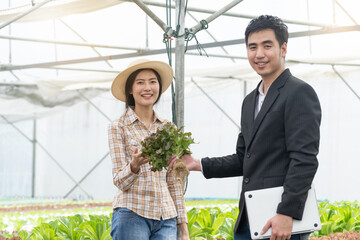 Farm entrepreneur checking quality of hydroponic vegetables product before harvest and sell to customer.