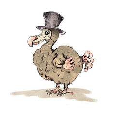 Watercolor Dodo bird clipart in vintage style isolated on white  © onanana