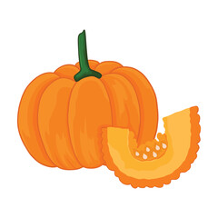 pumpkin isolated illustration on white background. vector