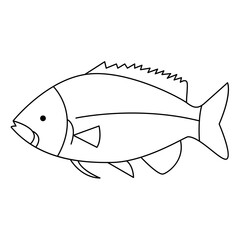 Continuous One line drawing of big fish and single line vector art illustration
