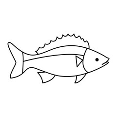 Continuous One line drawing of big fish and single line vector art illustration
