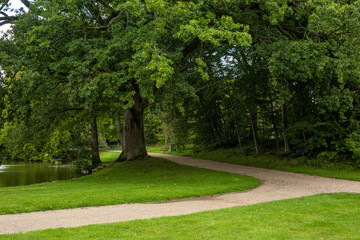 path in the park. Nature background 