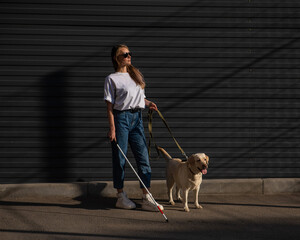 Blind woman walking guide dog outdoors. 