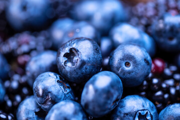 Blueberries and blackberries in the form of a background. Mixture of blue berries close-up