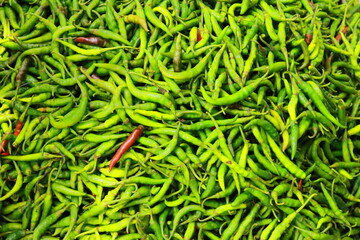 Green pepper or green chili on the market, Lots of fresh green chilies