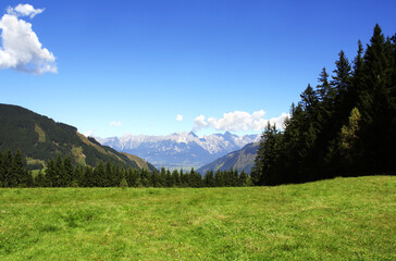 Alps mountains in Tirol, Austria. Aerial view of idyllic mountain scenery in Alps with green grass and fur-trees on sunny day