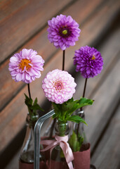 Beautiful bouquet of rosa, magenta, pink, violet dahlia flowers in glas bottles on garten bench. Floristic or gardening concept. Selective soft focus. Copy space.