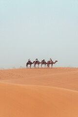 Fototapeta na wymiar Camel trek with tourists through the sahara desert in Merzouga, Morocco