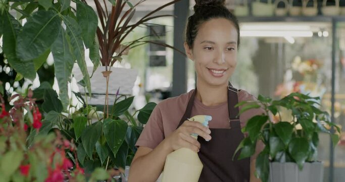 Cheerful Middle Eastern woman florist taking care of green plant sprinking leaves with water in flower shop. Occupation and floristry concept.