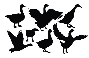 The set silhouettes of geese.
