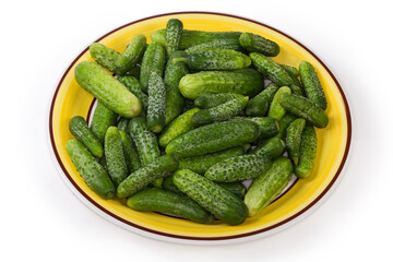 Fresh washed cucumbers and gherkins on dish on white background