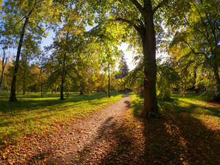 Sunlight in the autumn park
