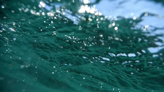 Dive and resurface captured in slow-motion, amidst sunlit, mildly choppy sea waters.