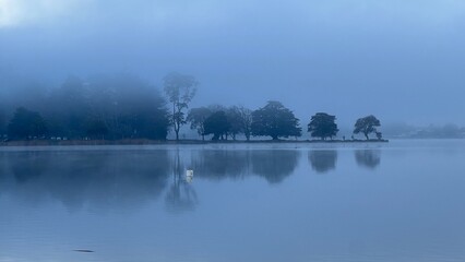 misty morning on Hamilton - Rotoroa Lake