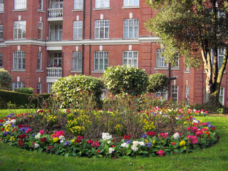 February London flowerbed against the backdrop of a red brick house