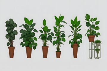 Collection pf plants in a pot