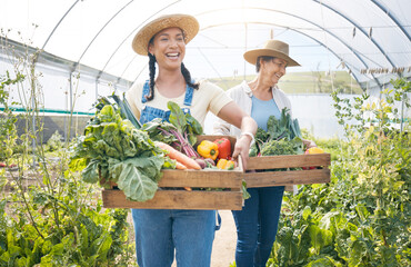 Women, agriculture and vegetable farming teamwork in a greenhouse for harvest and sustainability....