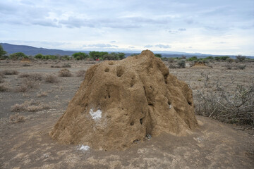 African landscape with termite mound