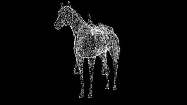 3D Horse with saddle rotates on black background. Ranch animals concept. Horse racing and entertainment. Business advertising backdrop. For title, text, presentation. 3d animation 60 FPS