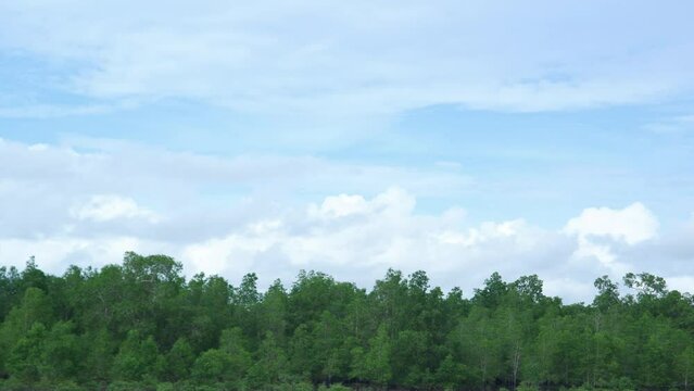 Time Laps movement of white clouds over the green forest of Avicennia marina