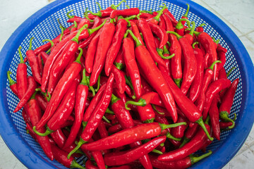 Wet red chili peppers in a blue colander.