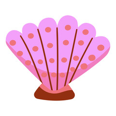 shellsea, summer, seashell, beach, ocean, shell, marine, nature, tropical, isolated, background, animal, design, underwater, illustration, white, aquatic, shellfish, decoration, starfish, mollusk