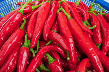 Wet red chili peppers in a blue colander.